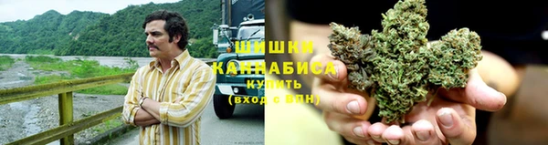 винт Каменка