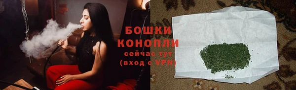 винт Каменка