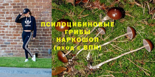 винт Каменка