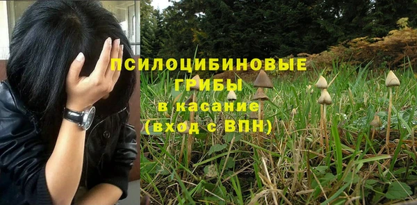 каннабис Каменск-Шахтинский
