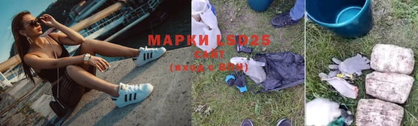винт Каменка