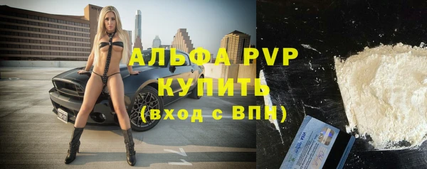 винт Каменка