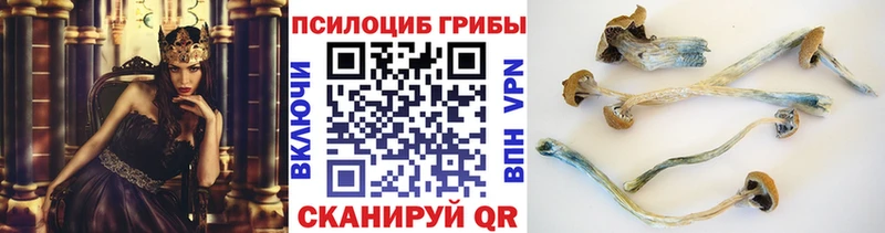 Галлюциногенные грибы MAGIC MUSHROOMS  Купить закладки  Вяземский 